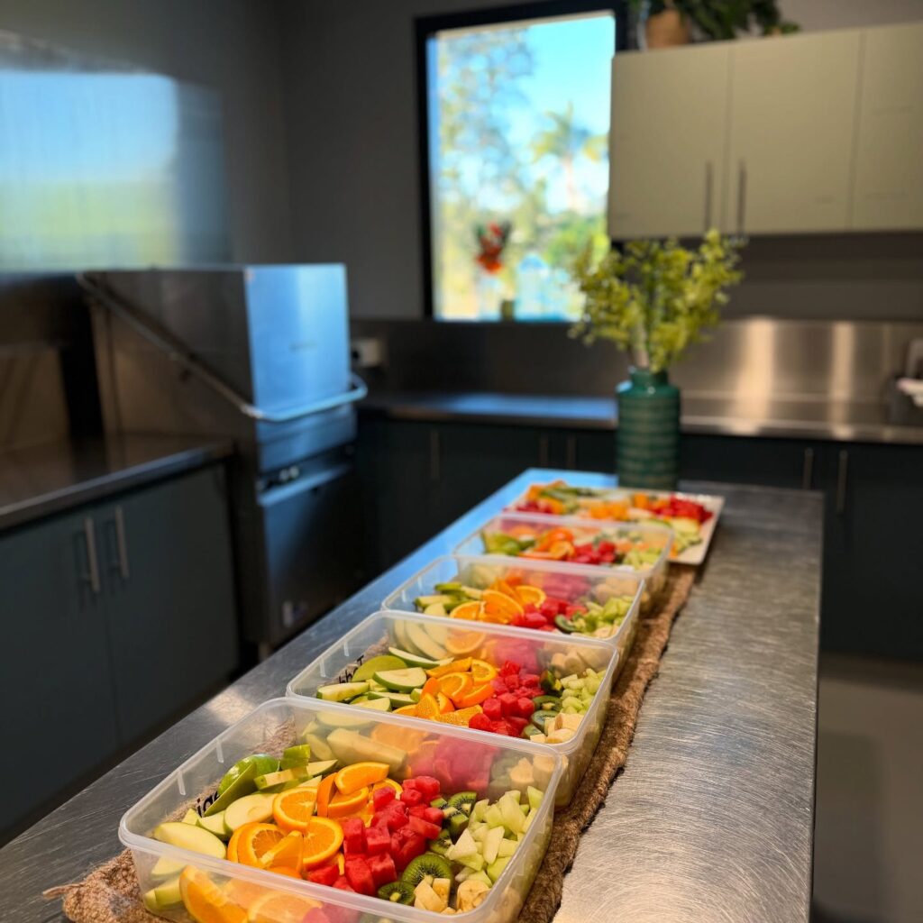 cubbyhouse kitchen food 8 Honour Early Learning Childcare Centre